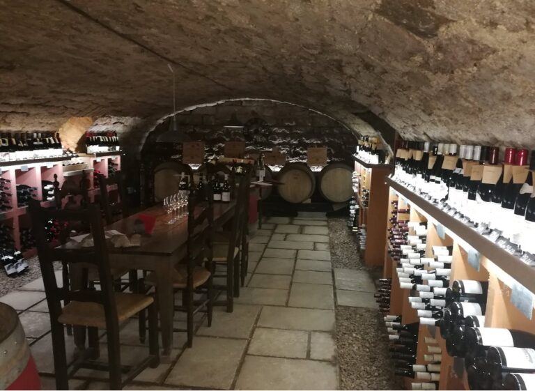 Burgundy Wine Lover's Delight – Saskia Charity Travel