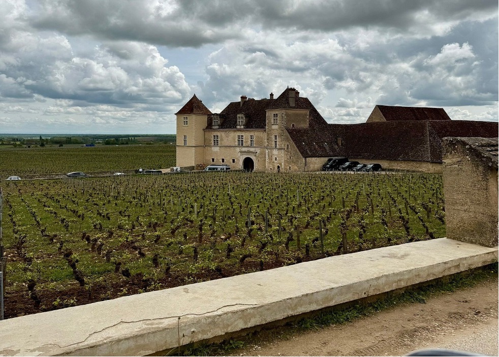 Burgundy Wine Lover's Delight – Saskia Charity Travel