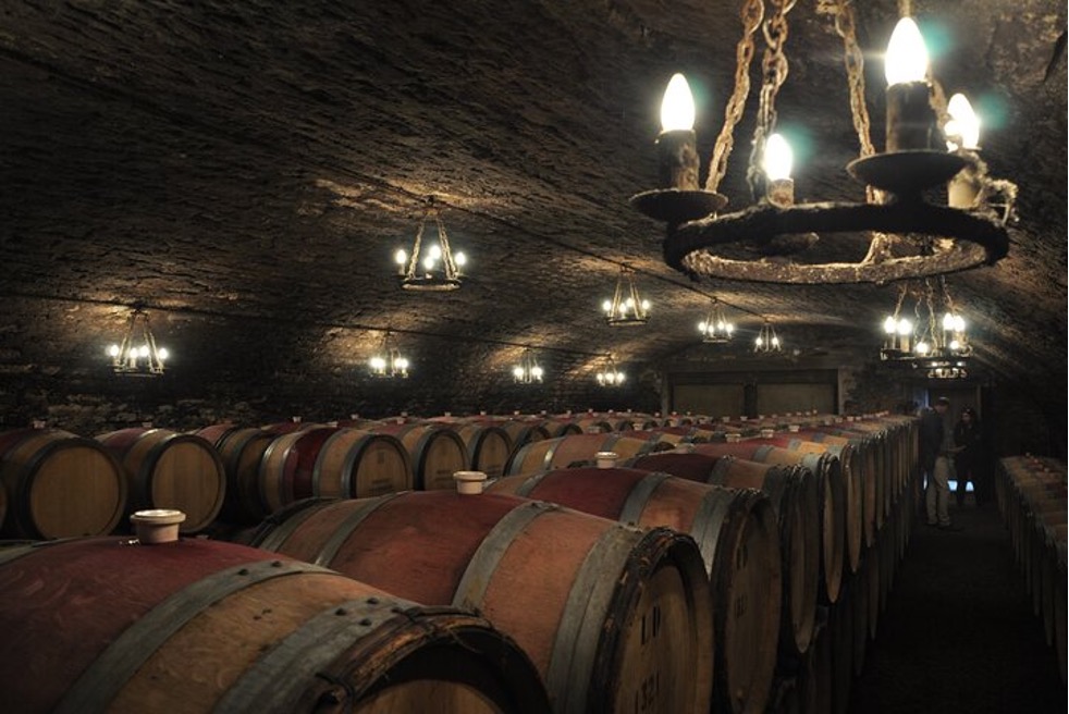 Burgundy Wine Lover's Delight – Saskia Charity Travel